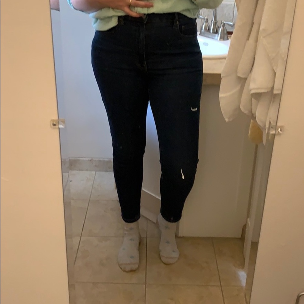Everlane High-Rise Skinny Jeans | 30 Regular